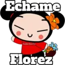 PUCCA 6