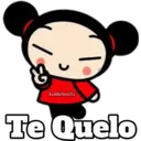 PUCCA 17