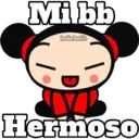 PUCCA 14