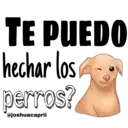 TE PUEDO
hechar los
perros?
@joshuacaprii