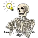 Bob ergas 3