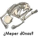 Bob ergas 5