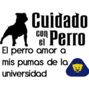 Cuidado con el perro 24
