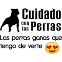 Cuidado con el perro 20