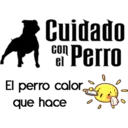 Cuidado con el perro 21