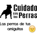 Cuidado con el perro 27
