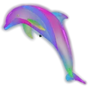 Dolphins Cute 18