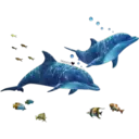 Dolphins Cute 9