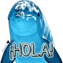 Dolphins Cute 11