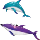 Dolphins Cute 25