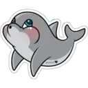 Dolphins Cute 23