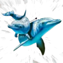 Dolphins Cute 2