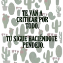 Te van a criticar 16