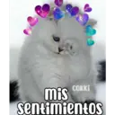 COKKI mis sentimientos