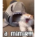 COKKI a mimir!!!