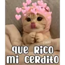 COKKI que Rico mi cerdito