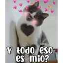 соккi Y todo eso es mio?