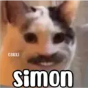COKKI Simon