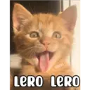 COKKI LERO LERO