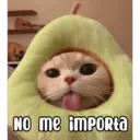 COKKI No me importa