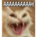 AAAAAAAAAAH COKKI