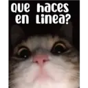 Que haces en Linea?
