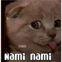 соккi Nami nami