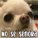 соккi NO se señora