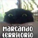 COKKI Marcando territorio