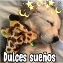 Pookki Dulces sueños