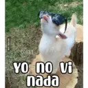 VIA 9GAG.COM Yo no vi nada