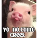 COKKI Yo no como CRees