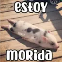 estoy COKKI moRida
