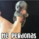 COKE Me Perdonas