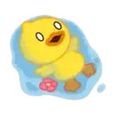 B.Duck, Mov 11