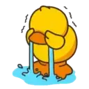 B.Duck, Mov 14
