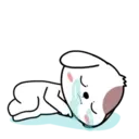 Cute puppy 2 mov 22