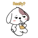 Cute puppy 2 mov 14