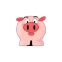 Expresiones de Cerdito  Mov 20