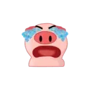 Expresiones de Cerdito  Mov 2