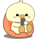 Adorable young chick 5 mov 21