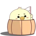 Adorable young chick 5 mov 4