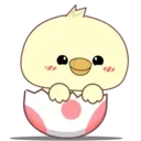 Adorable young chick 5 mov 24