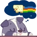 Animals1 mov 3
