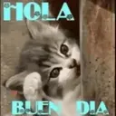 Buenos Días 8