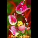 Buenos Días 11