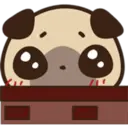 Cute pug 14