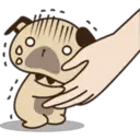 Cute pug 8