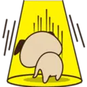 Cute pug 15