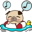Cute pug 13
